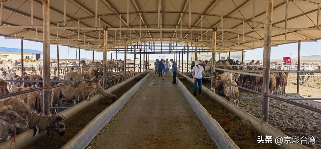 45b86820625449eb9081a76c14a5a7c7_tplv-obj_4096_1904