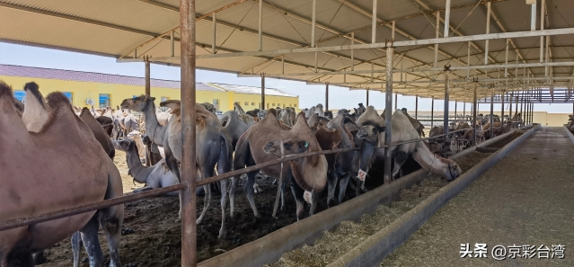 72cb6e72916940a9a37f10dba0a13649_tplv-obj_4096_1904